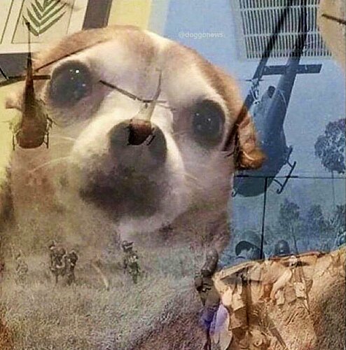 17735053682852503967380988360798