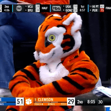 SadTiger